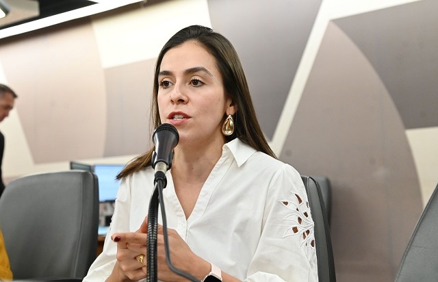 Noticia deputada-lohanna-abre-peticao-online-para-pressionar-por-criminalizacao-da