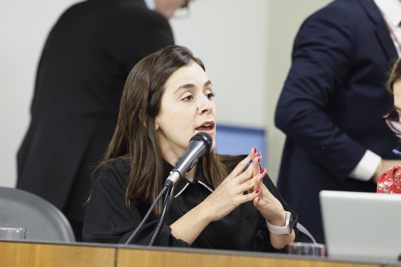 Noticia deputada-lohanna-protocola-projeto-que-cria-politica-estadual-de-valorizacao-do